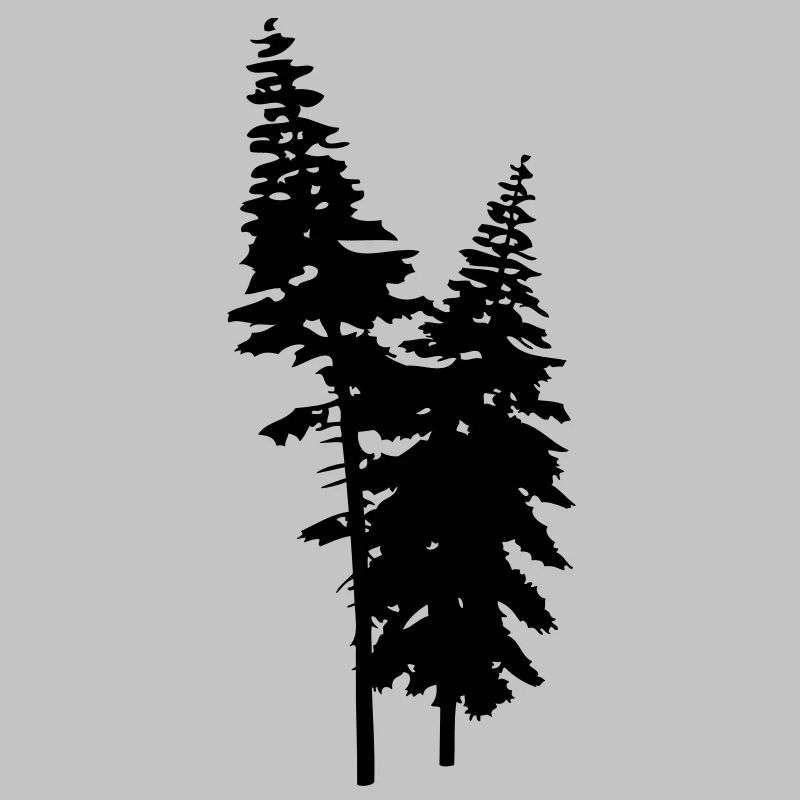 conifers