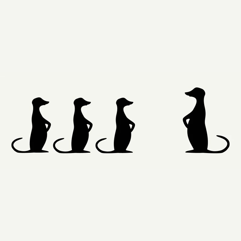 suricate