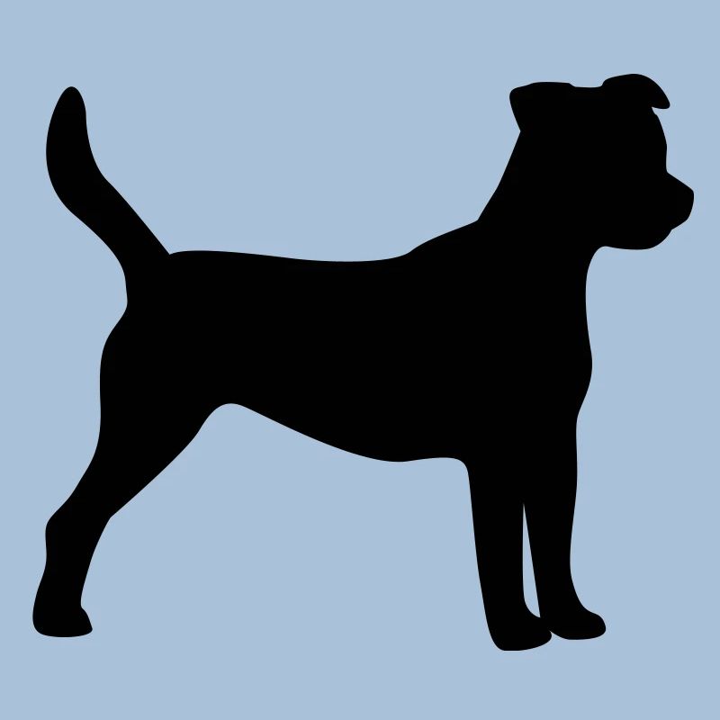 Parson Jack Russel Terrier