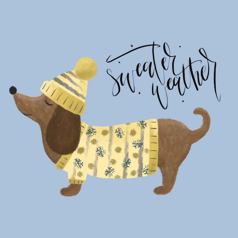 Teckel avec pull et chapeauSweater Météo jaune