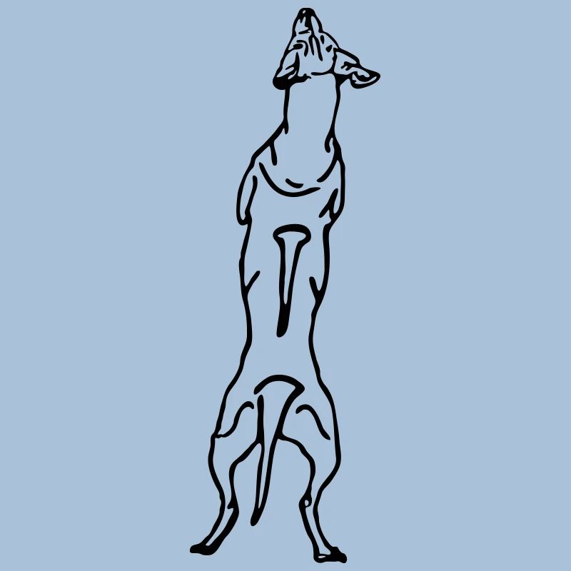 Ridgeback back