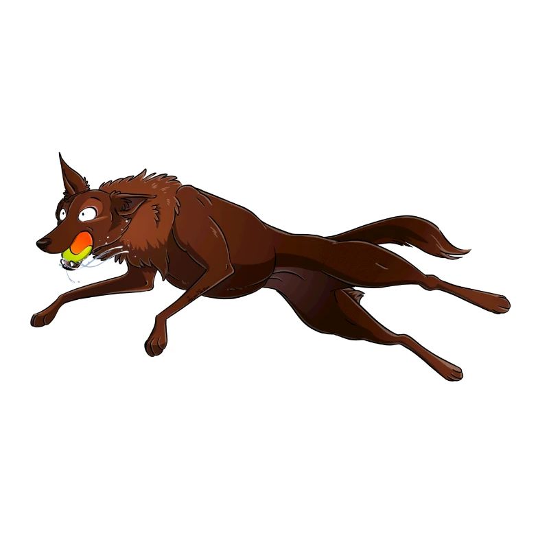 Kelpie Flyball