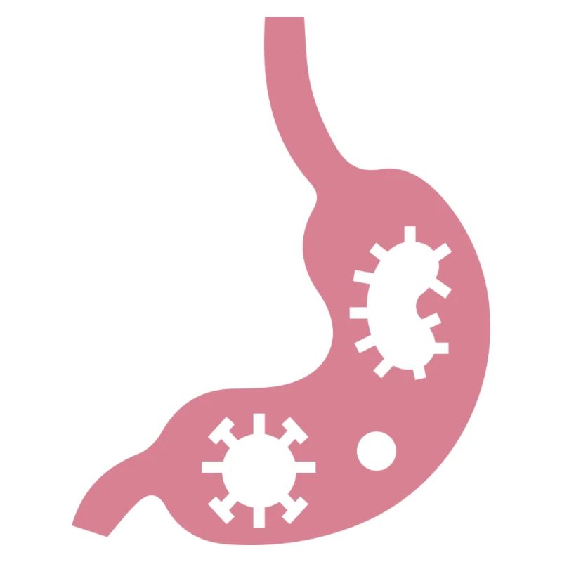 gastrointestinal flu gastrointestinal infection