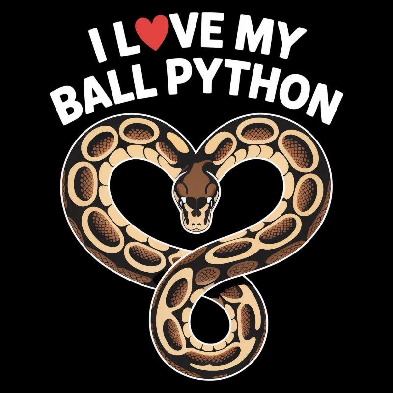 J’adore mon python royal ! Roi python