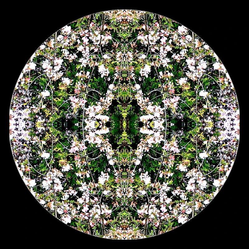 Source du Mandala de la Nature à Nuremberg