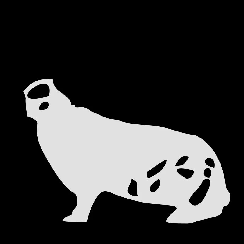 Le géant allemand pie lapin lapin