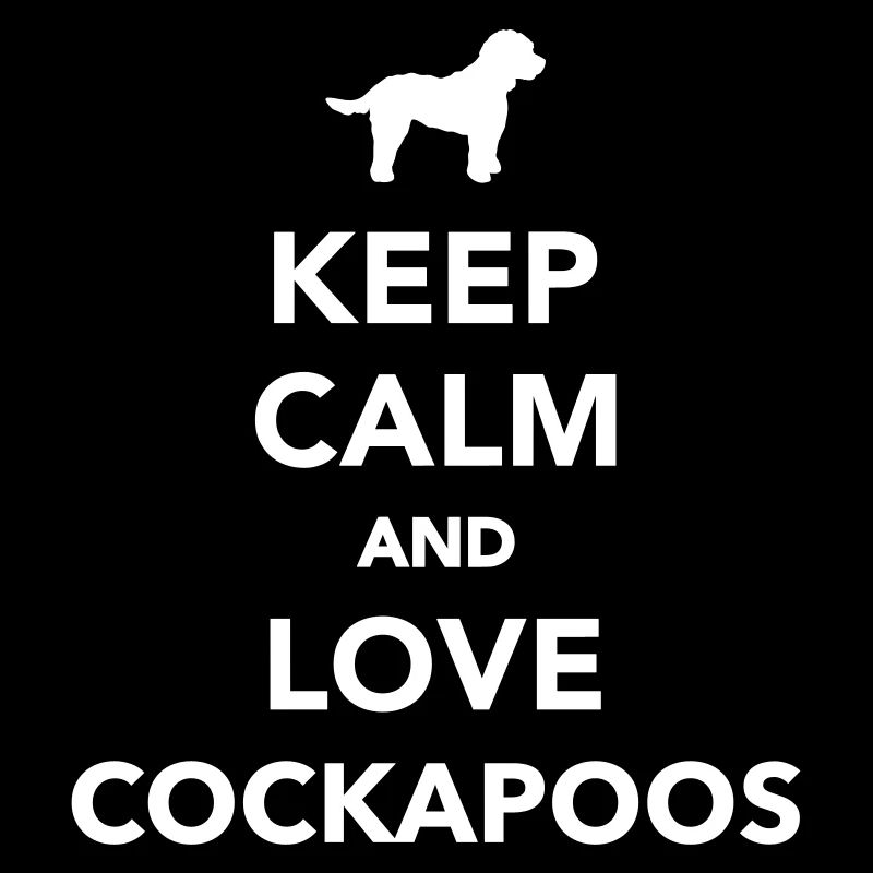 Cockapoo