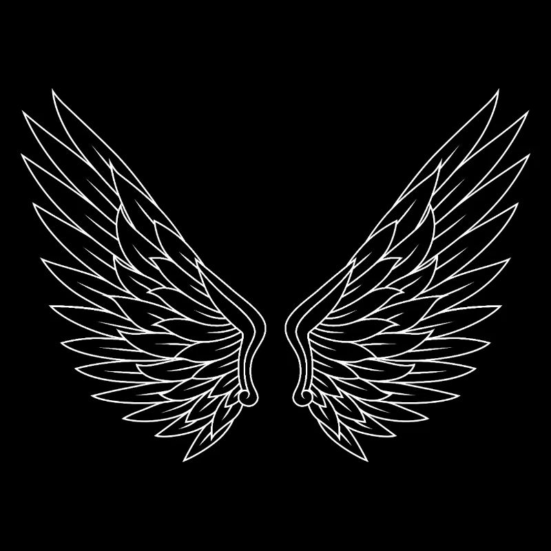Noir Blanc Paire D’ailes