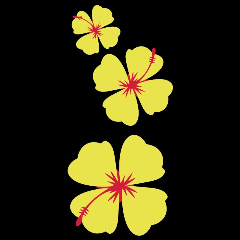 simples de trois fleurs d'hibiscus tropical