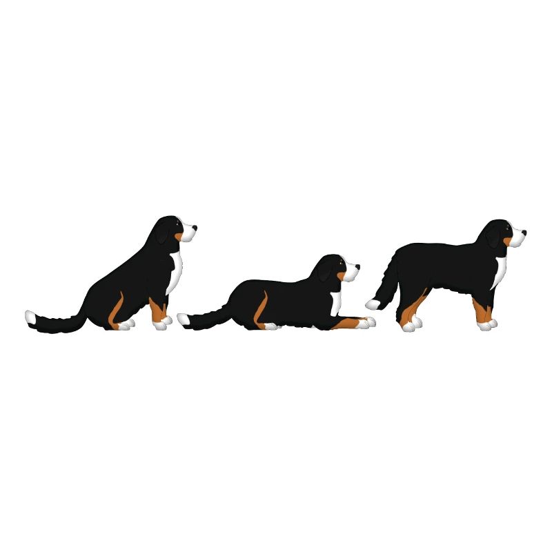Sitz Platz Steh Berner Sennenhund