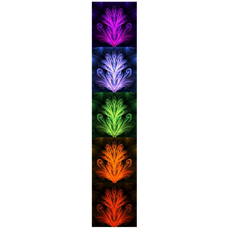 Nightflower Monkeyface