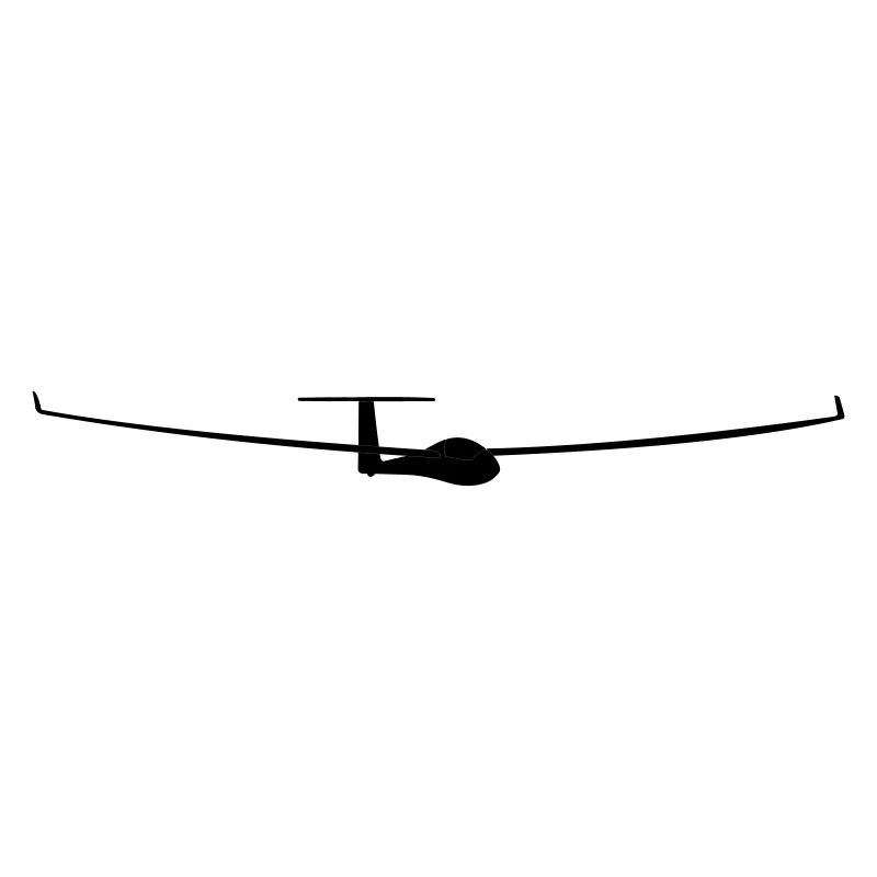 soaring pilot