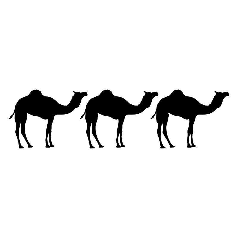 Kamele Karawane Wüste Drei Schwarz Cool Silhouette