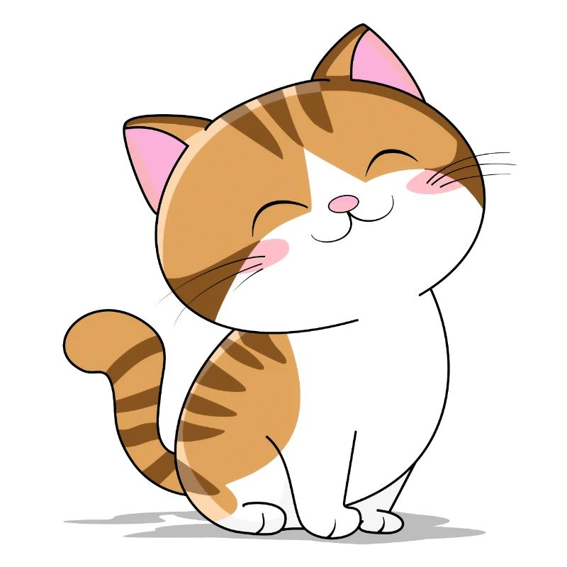 Petit chat mignon