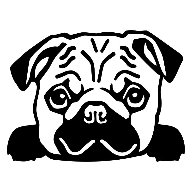 Pug