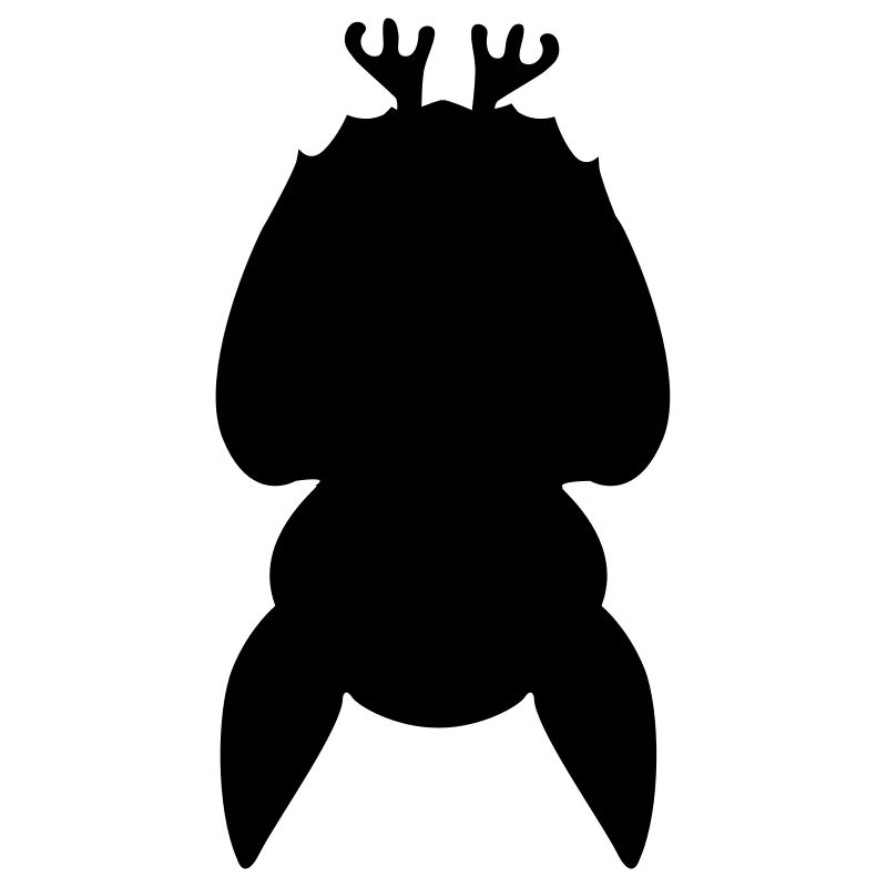 Fledermaus kopfüber