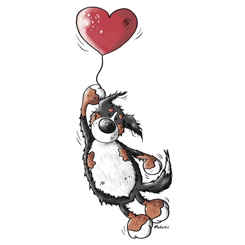 Berner Sennenhund Mit Herz - Hund