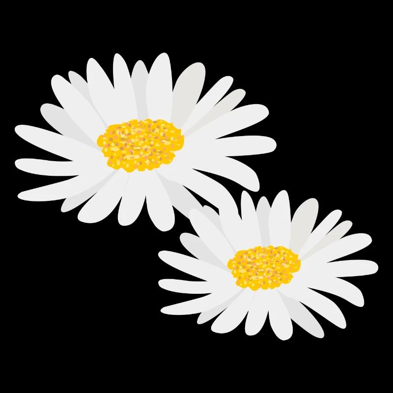 Marguerites de fleurs