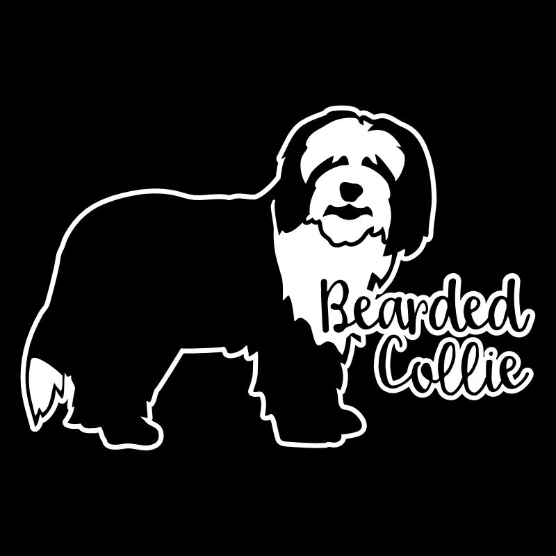 Bearded Collie