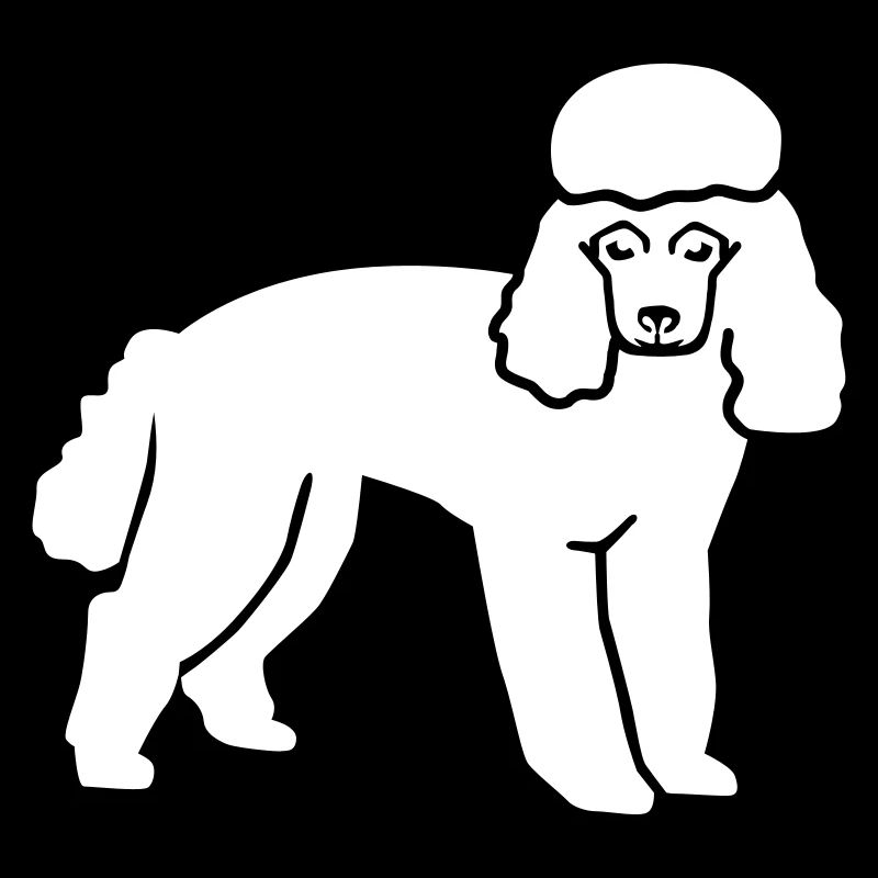 Poodle