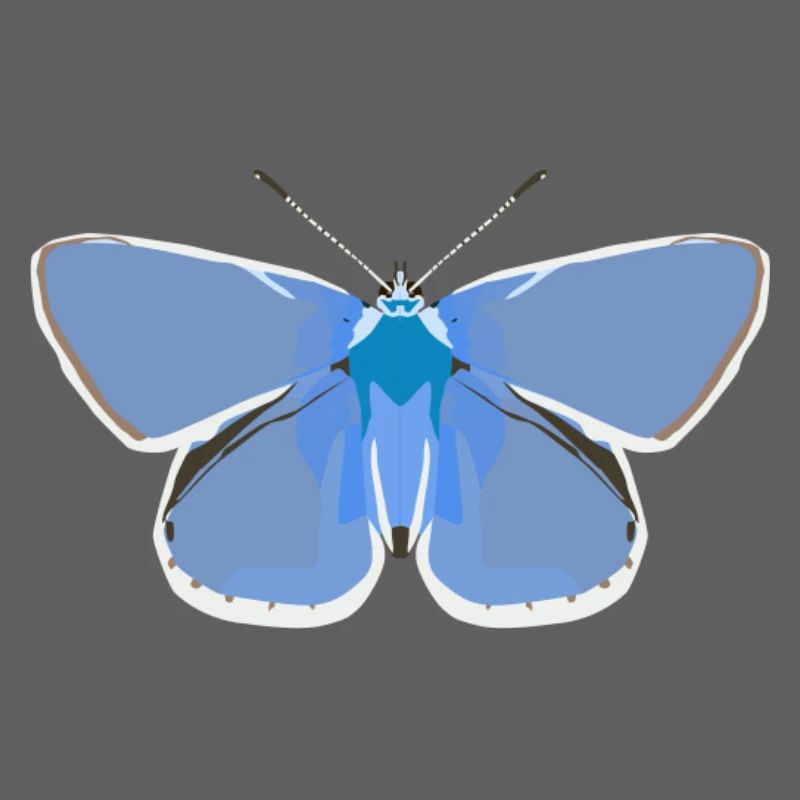 Schmetterlinge: Der gemeine Bläuling