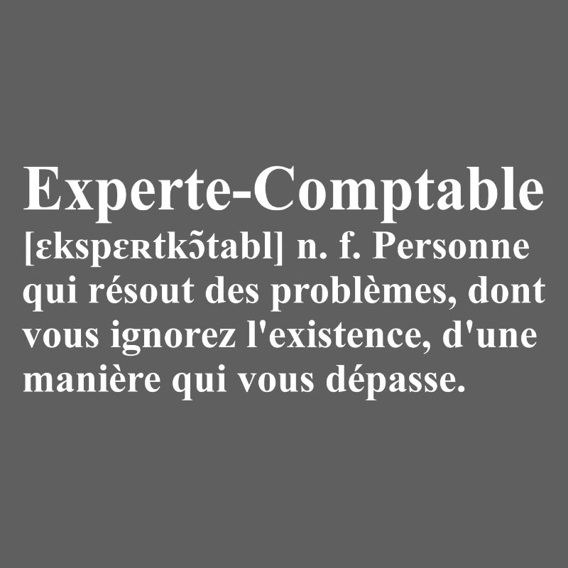 Experte-Comptable Définition