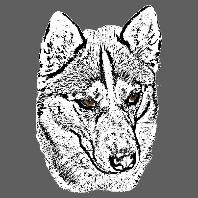 Wolf Head Husky Line Drawing Brown Eyes