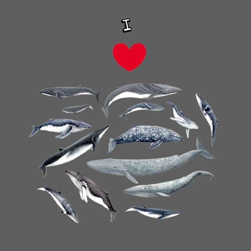 Les baleines aiment - J'adore les baleines - Baleines