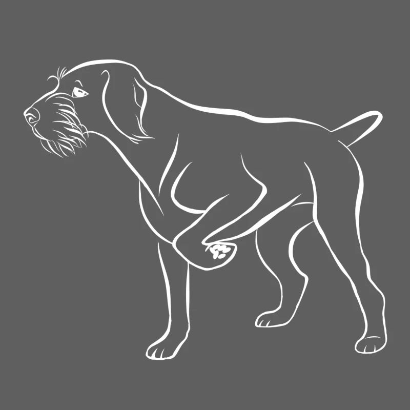 Dt wirehaired white above