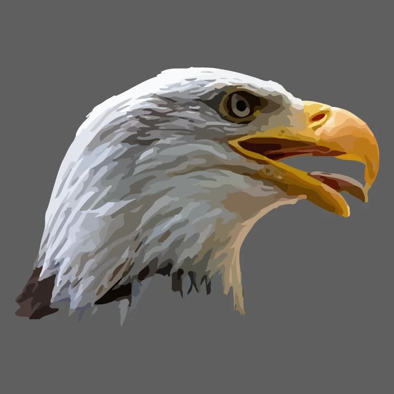 bald eagle