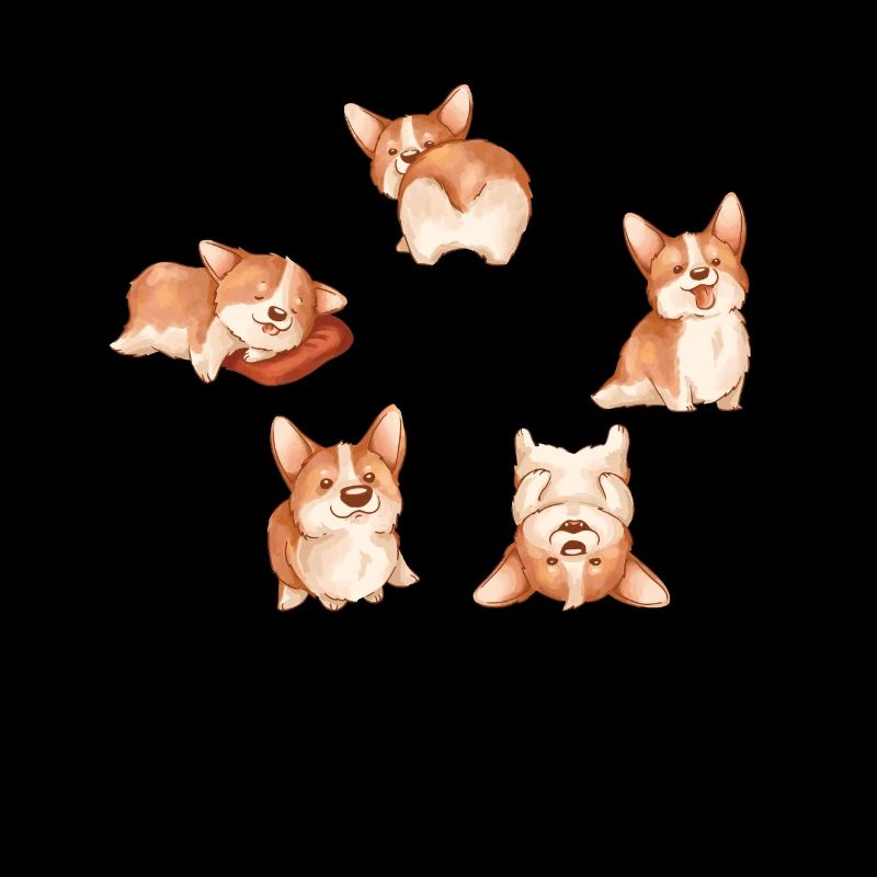 Cute Corgis pour filles