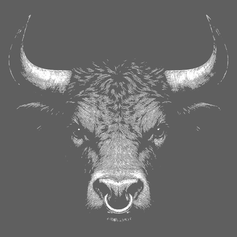 Taureau
