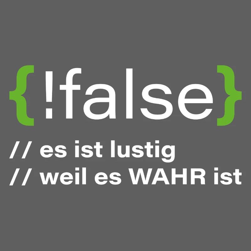 false - Lustiger Programmierer Spruch