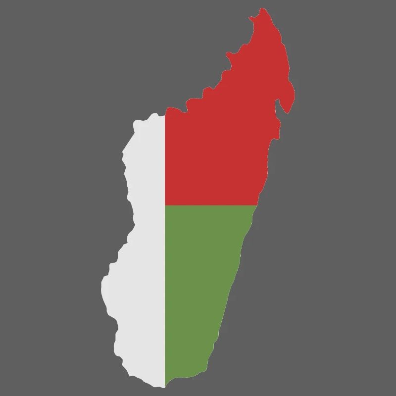 Carte de Madagascar avec drapeau