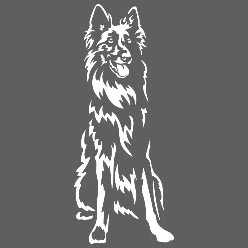 Groenendael "Black Edition"