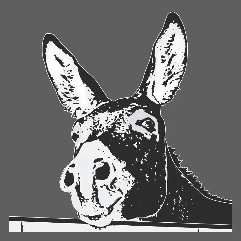 donkey