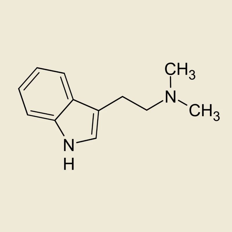 DMT dimethyltryptamine formule structurelle