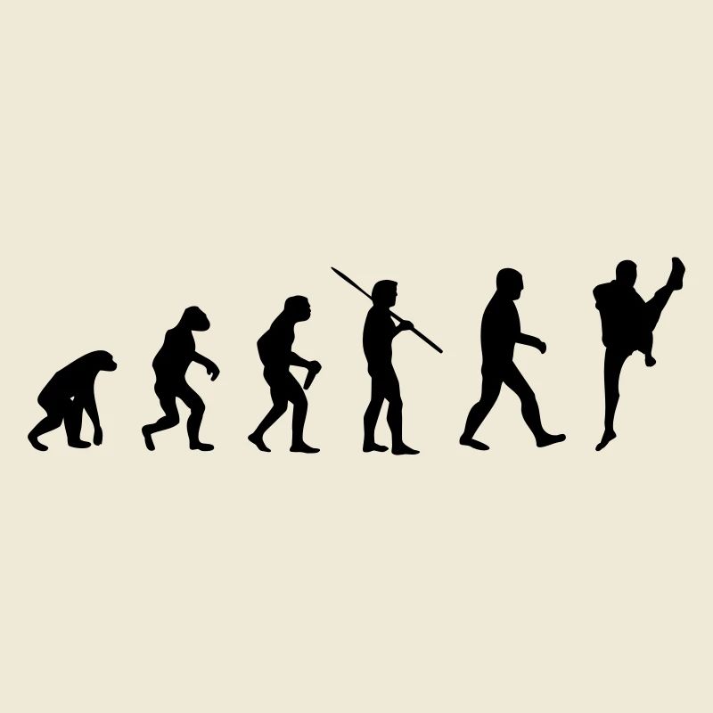 Arts Martiaux Evolution