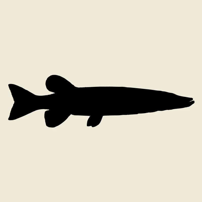 Brochet