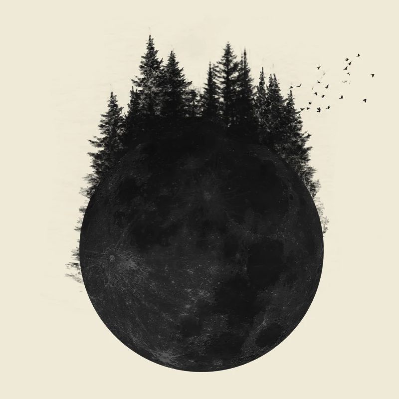 Forest moon