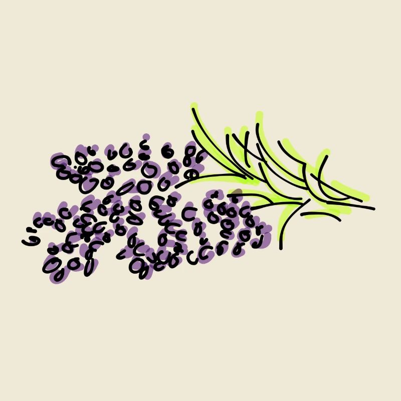 Lavendel