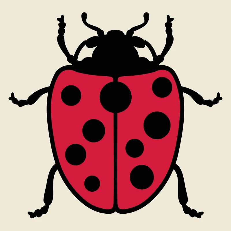 Coccinelle