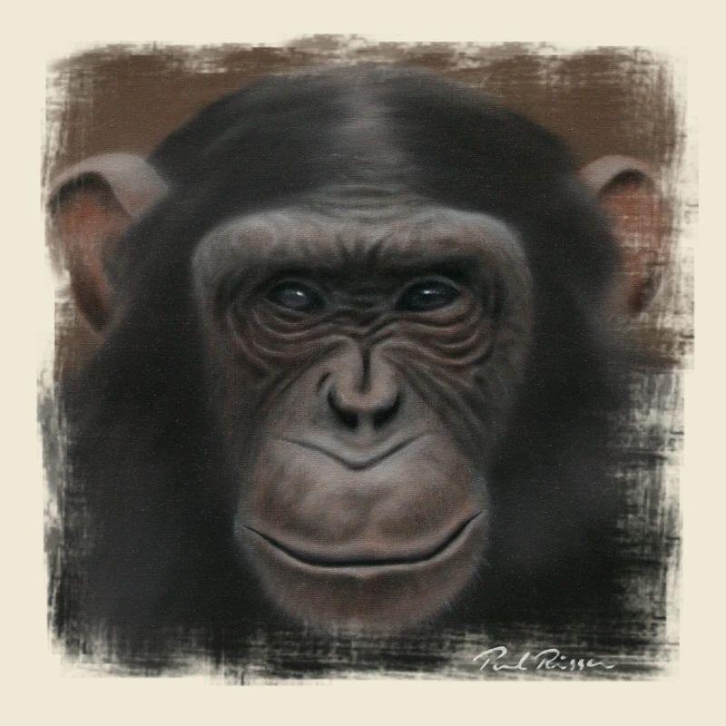 Chimpanzé