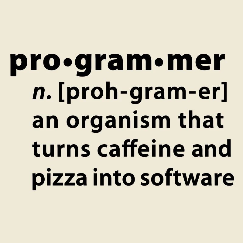 Programmer dictionary definition