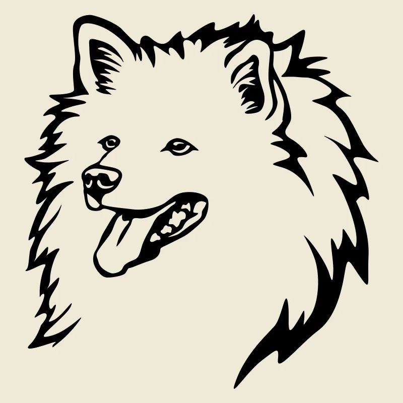 Spitz Kopf