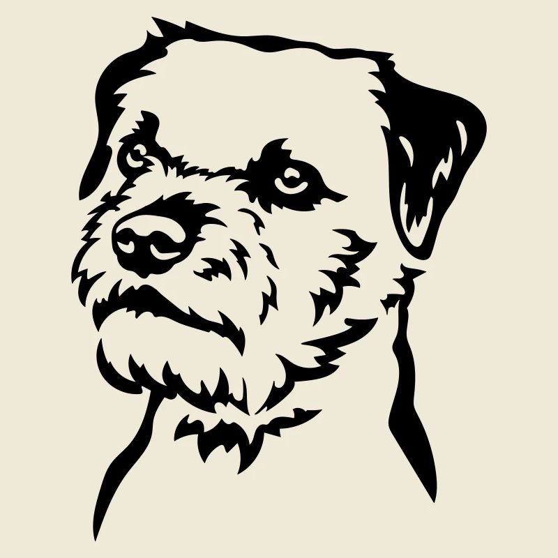 Border Terrier Head