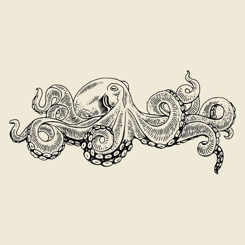 Octopus - Octopus Black Pattern