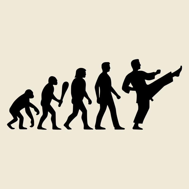 Karate Evolution