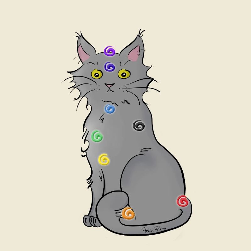 Chat-kra