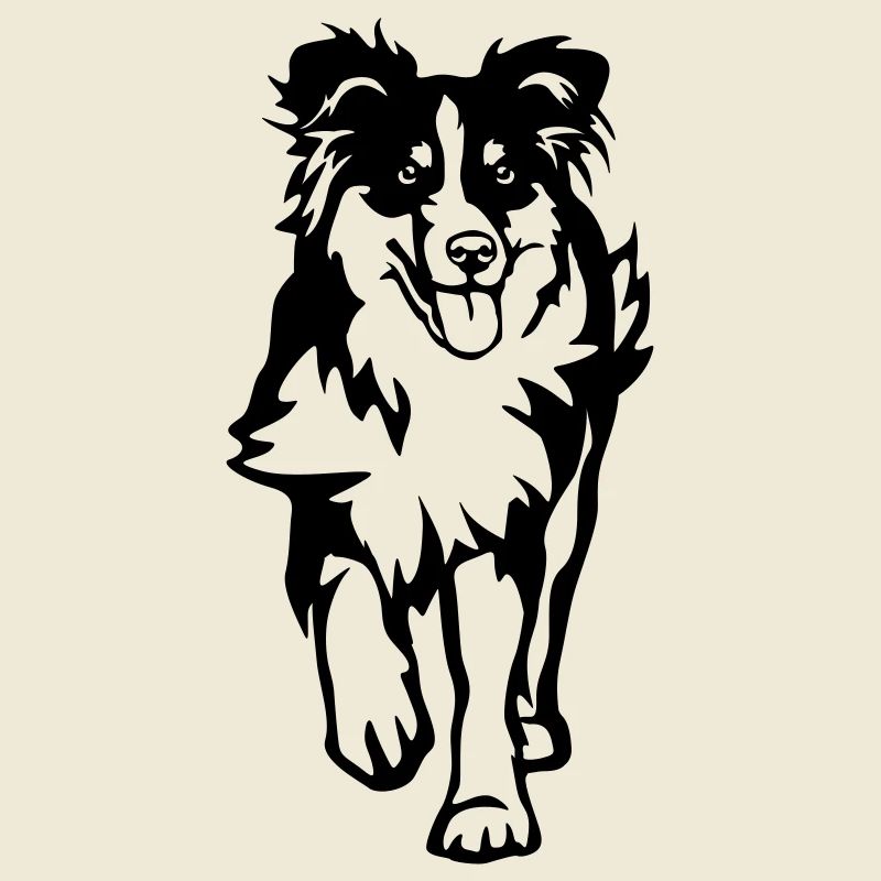 Australian Shepherd